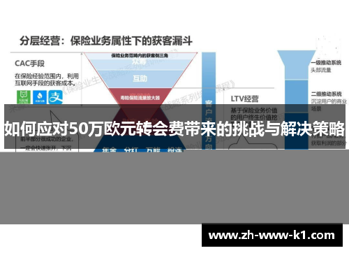 如何应对50万欧元转会费带来的挑战与解决策略