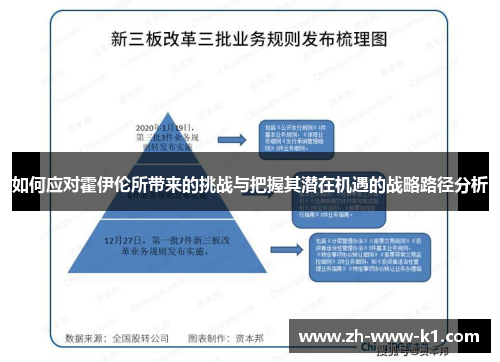 如何应对霍伊伦所带来的挑战与把握其潜在机遇的战略路径分析