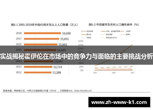 实战揭秘霍伊伦在市场中的竞争力与面临的主要挑战分析