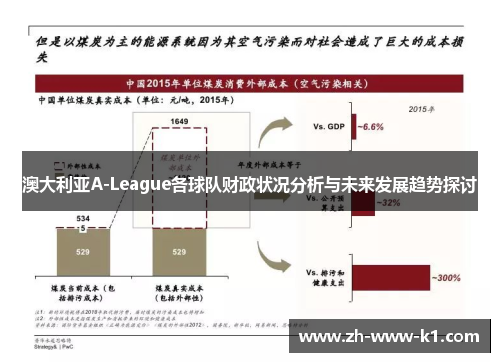 澳大利亚A-League各球队财政状况分析与未来发展趋势探讨